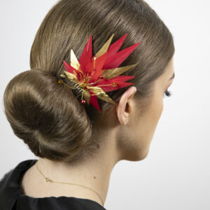 Red and golden feather comb